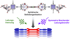 Darstellung des untersuchten Porphyrin- (blau) und Perylenebisimide- (rot) Supra-Amphiphiles (Grafik: Erik J. Schulze)