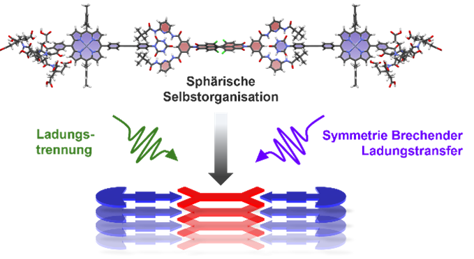 Darstellung des untersuchten Porphyrin- (blau) und Perylenebisimide- (rot) Supra-Amphiphiles (Grafik: Erik J. Schulze)