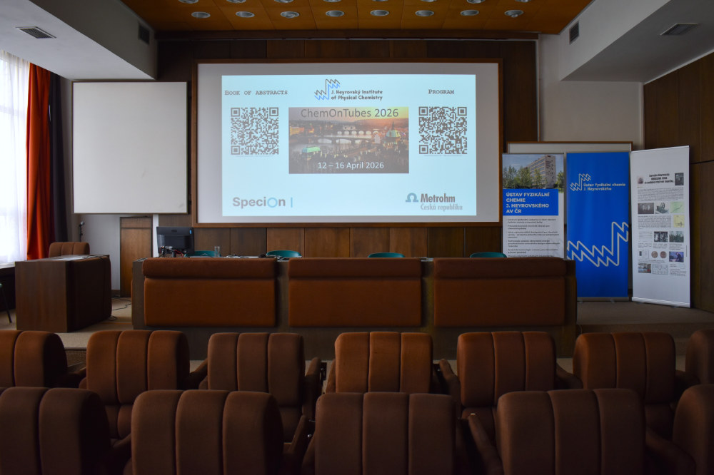 Dirk M. Guldi at the ChemOnTubes 2026 in Prague